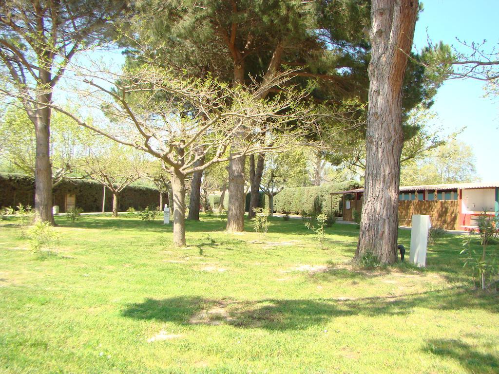 Camping Cap Sud Alénya Εξωτερικό φωτογραφία