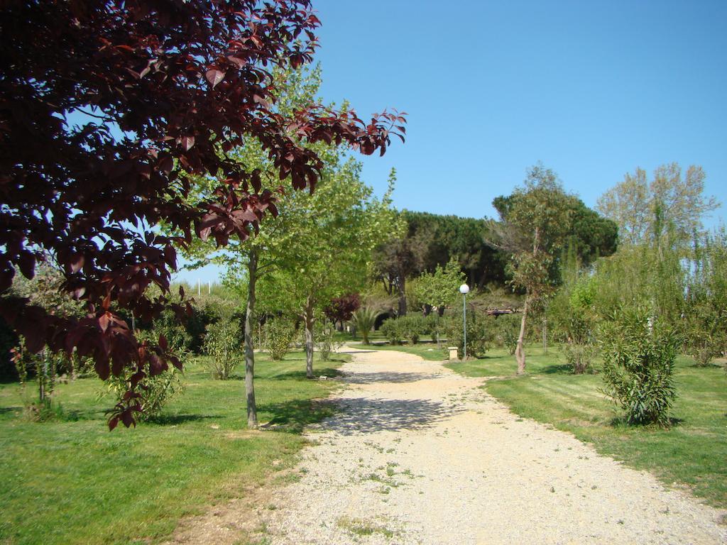 Camping Cap Sud Alénya Εξωτερικό φωτογραφία